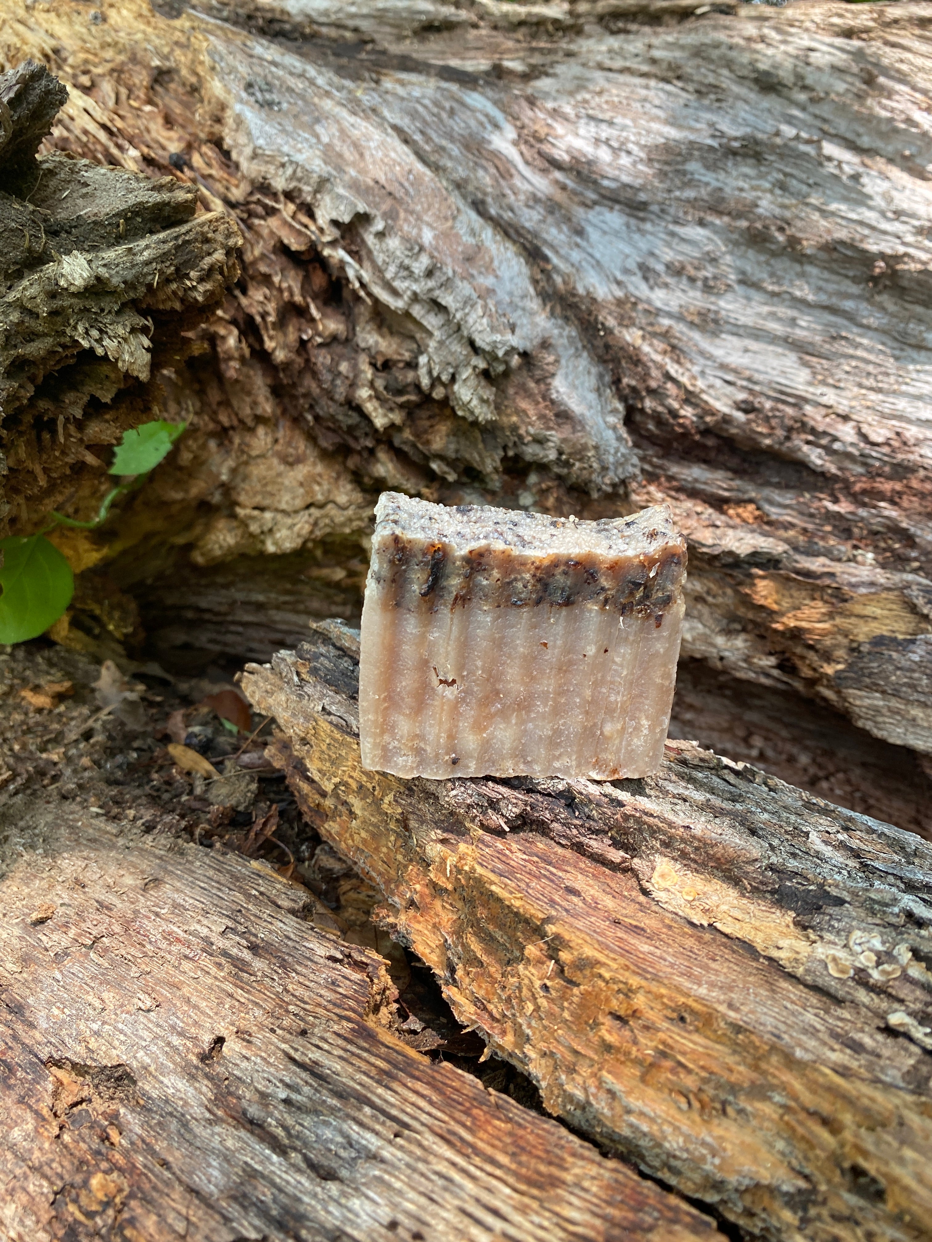 Vanilla Wood Bar Soap