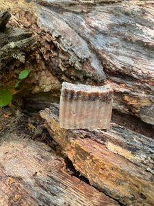 Vanilla Wood Bar Soap